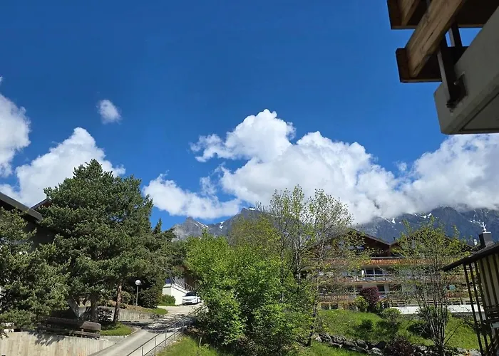 Petit Lägenhet Ovronnaz