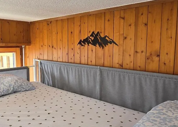 Petit 奥瓦伦纳茨