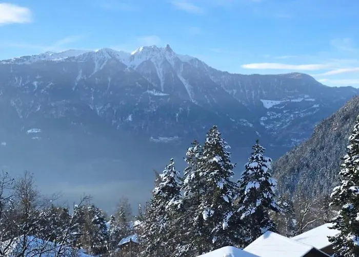 Petit * 奥瓦伦纳茨