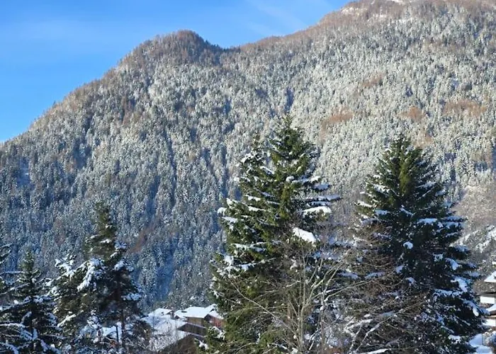 Petit * 奥瓦伦纳茨